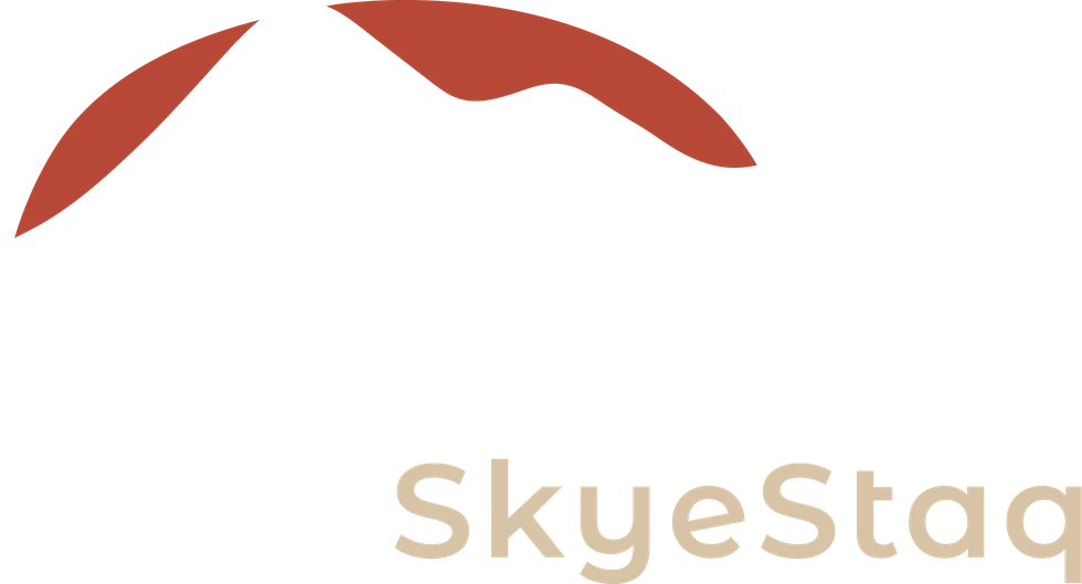 SkyeStaq